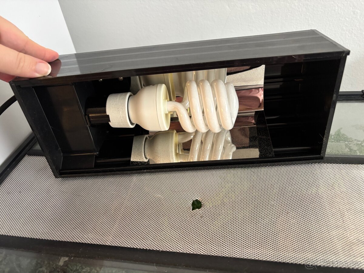 Terárium + pagekon - 7