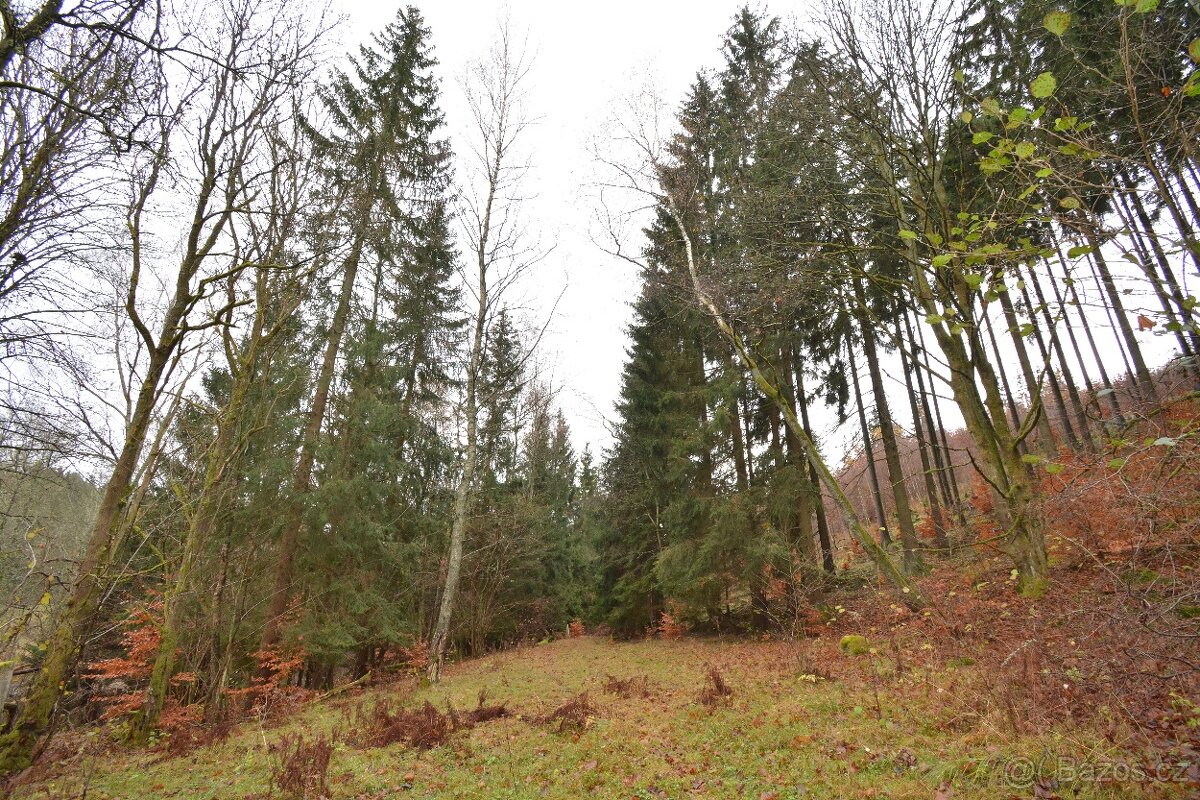 Pozemek Merklín - 7