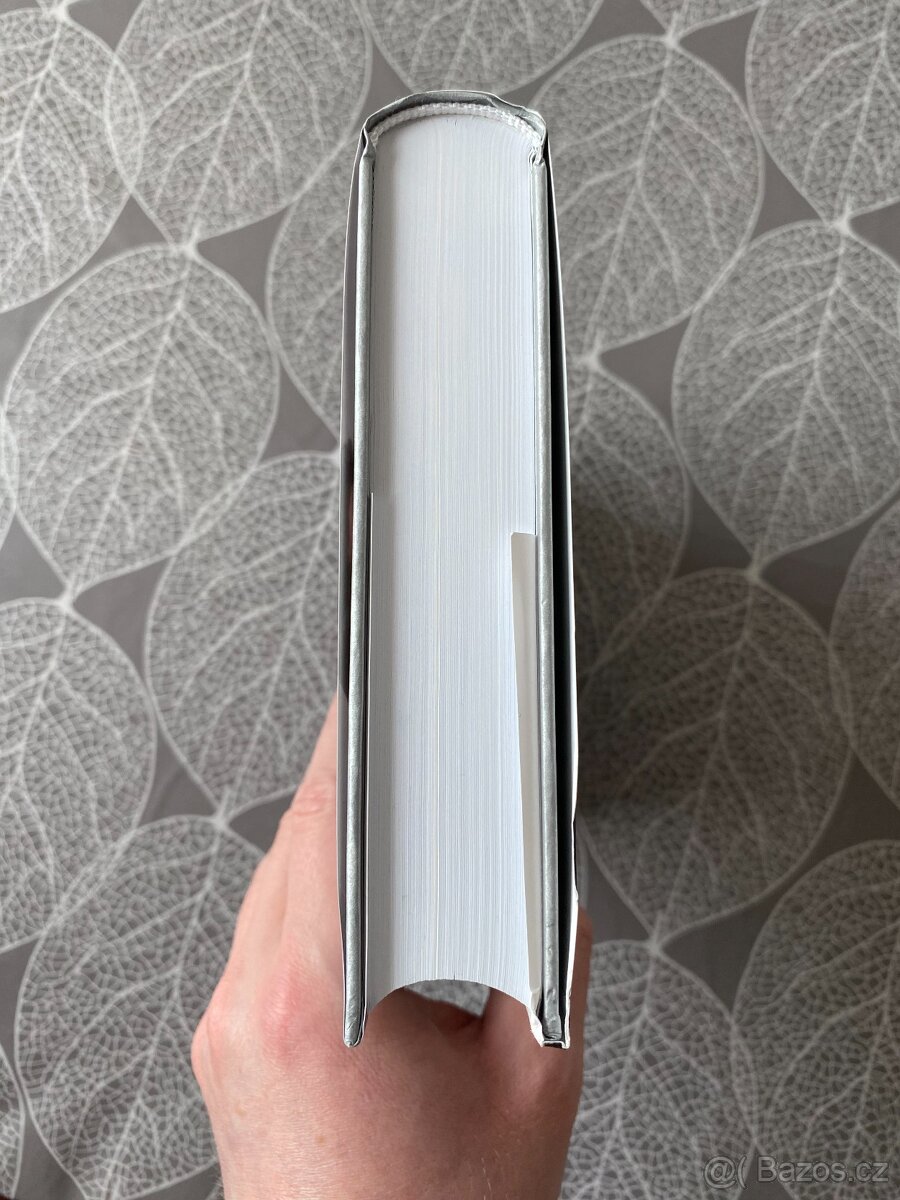 Nová kniha Lou Reed - Život - Anthony DeCurtis - 7