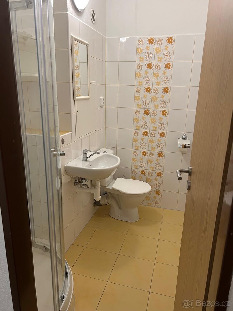 Pronájem 1+kk - 7