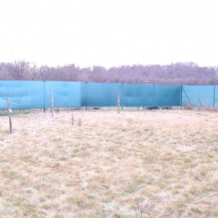 Zahrada Olomouc - Řepčín 535 m2 - 7