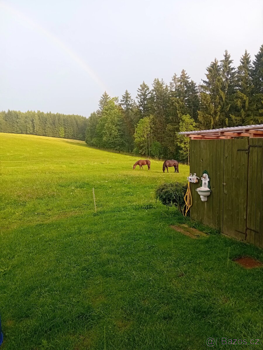 Pastevní ustájení - 7