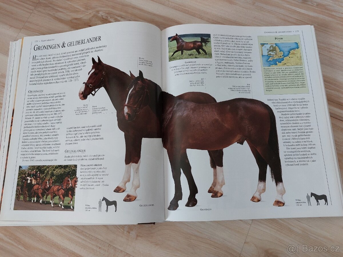 Encyklopedie koni - 7