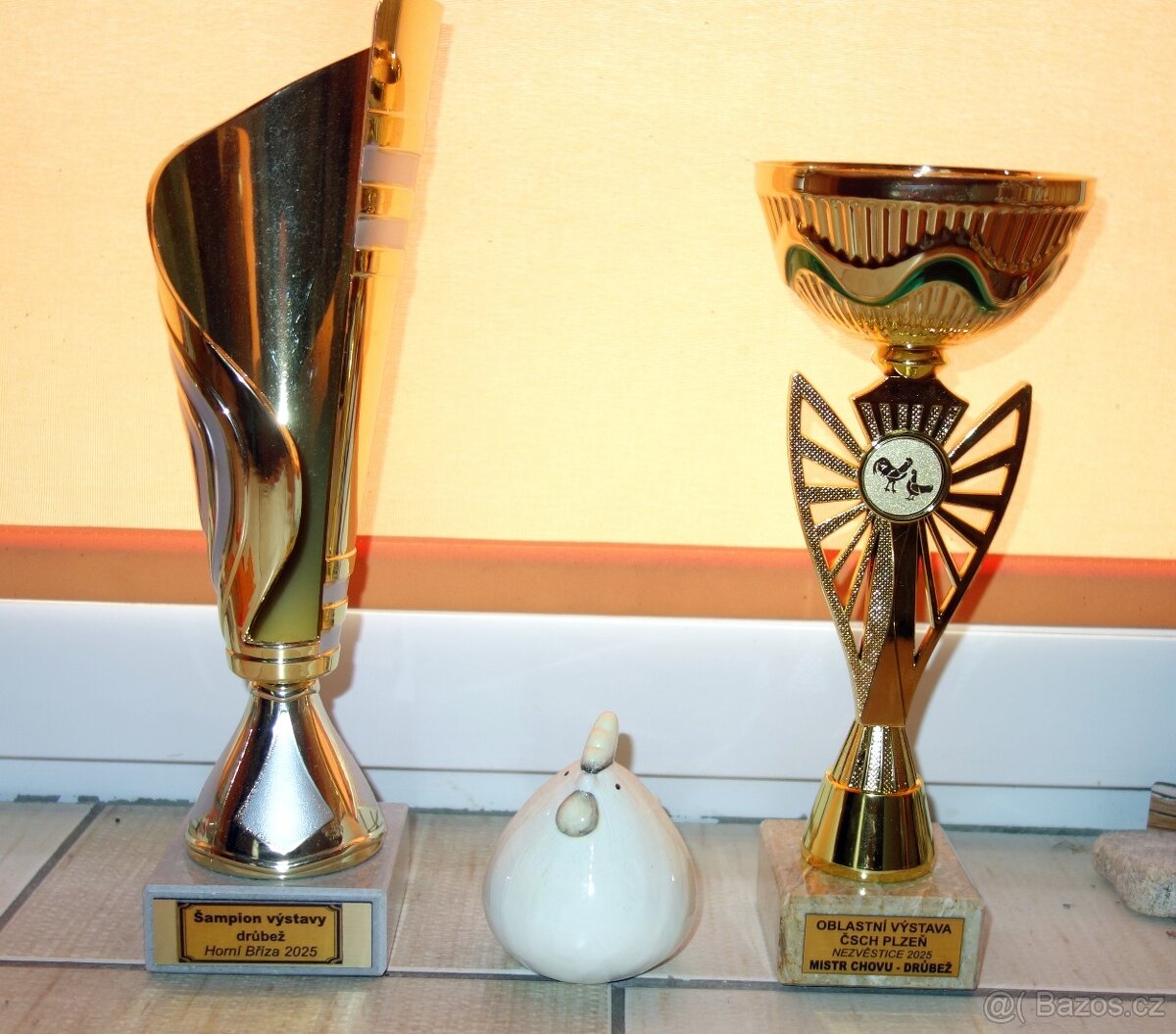 Orlovka pestrá - 7