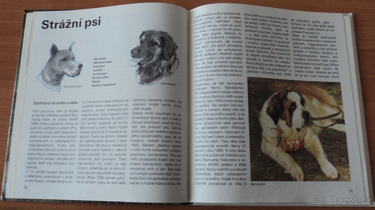 Psi, Stavby zvířat - 7