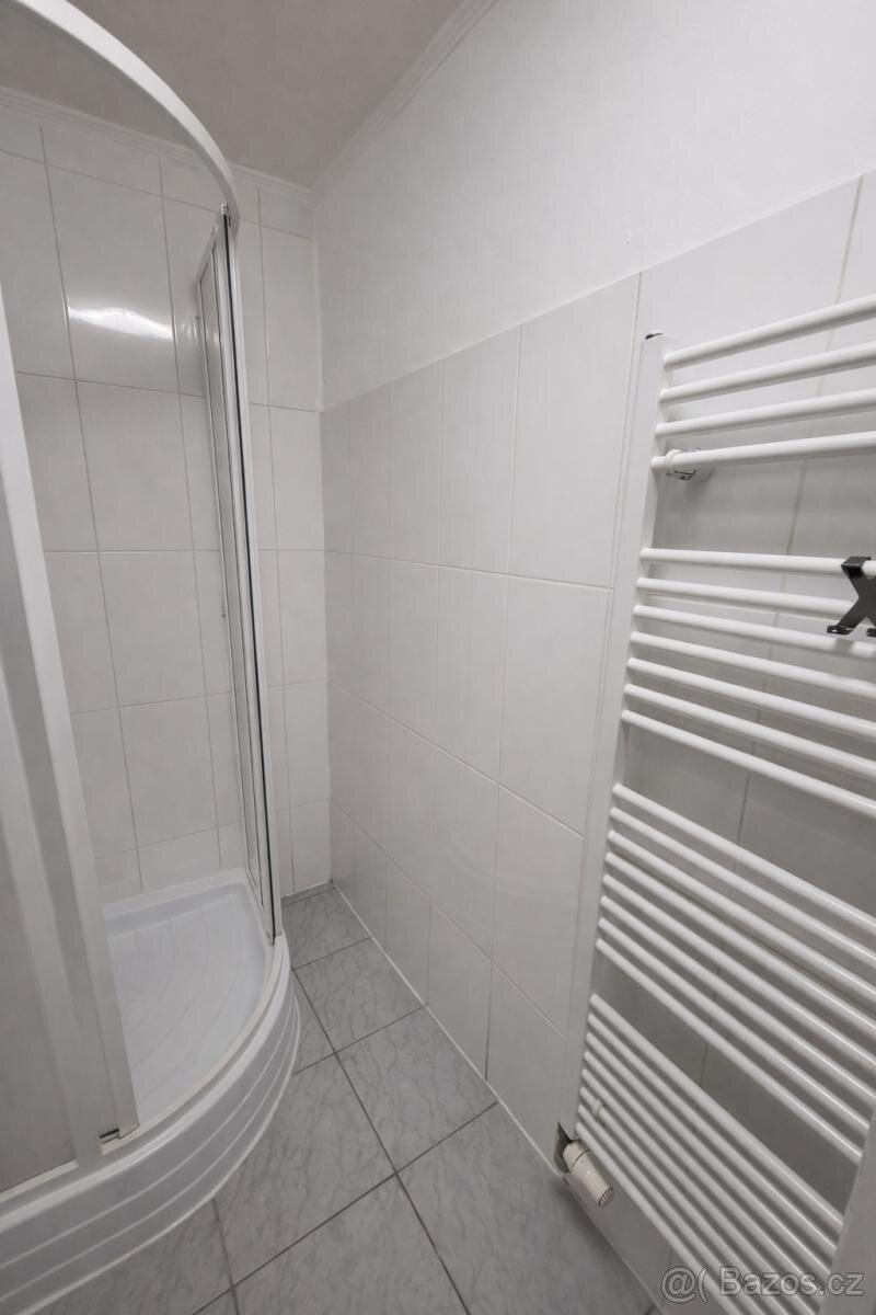 Pronájem bytu 1+1, Praha 4, Nusle - 7