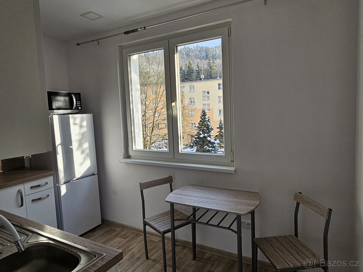 Pronájem Bytu 1+1 50 m2 Vsetín - 7