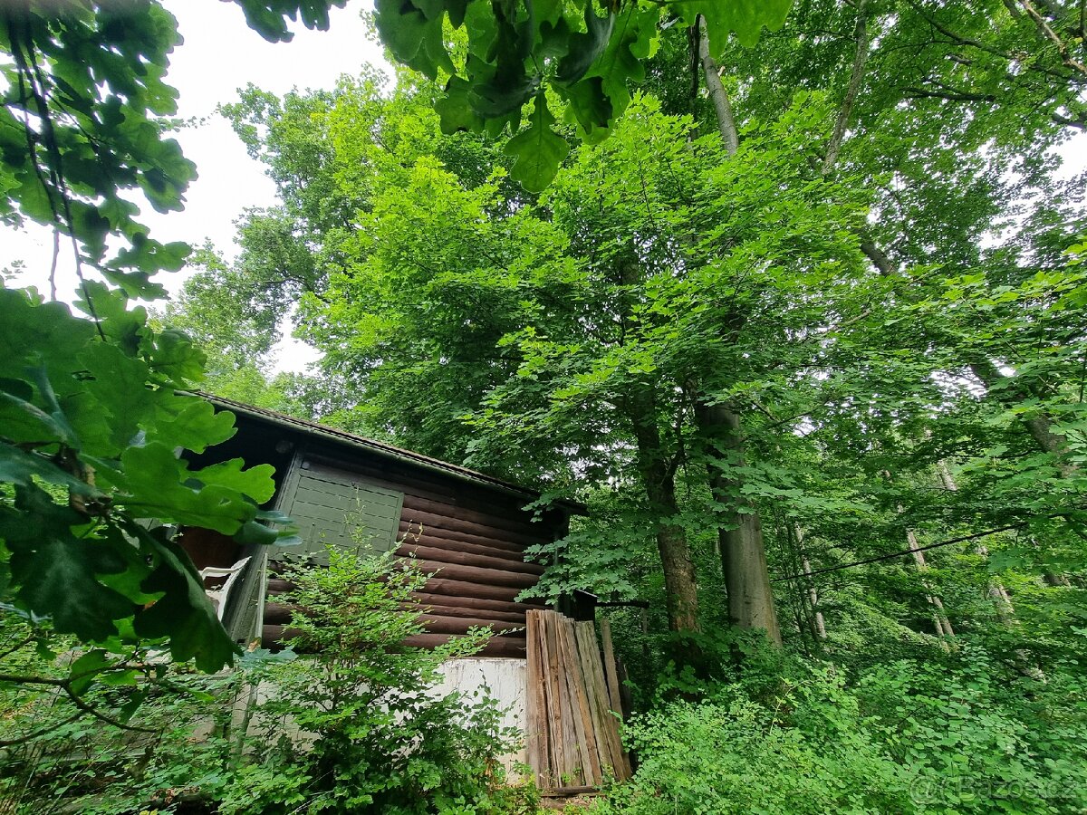 Prodej chaty v CHKO Železné hory - 7