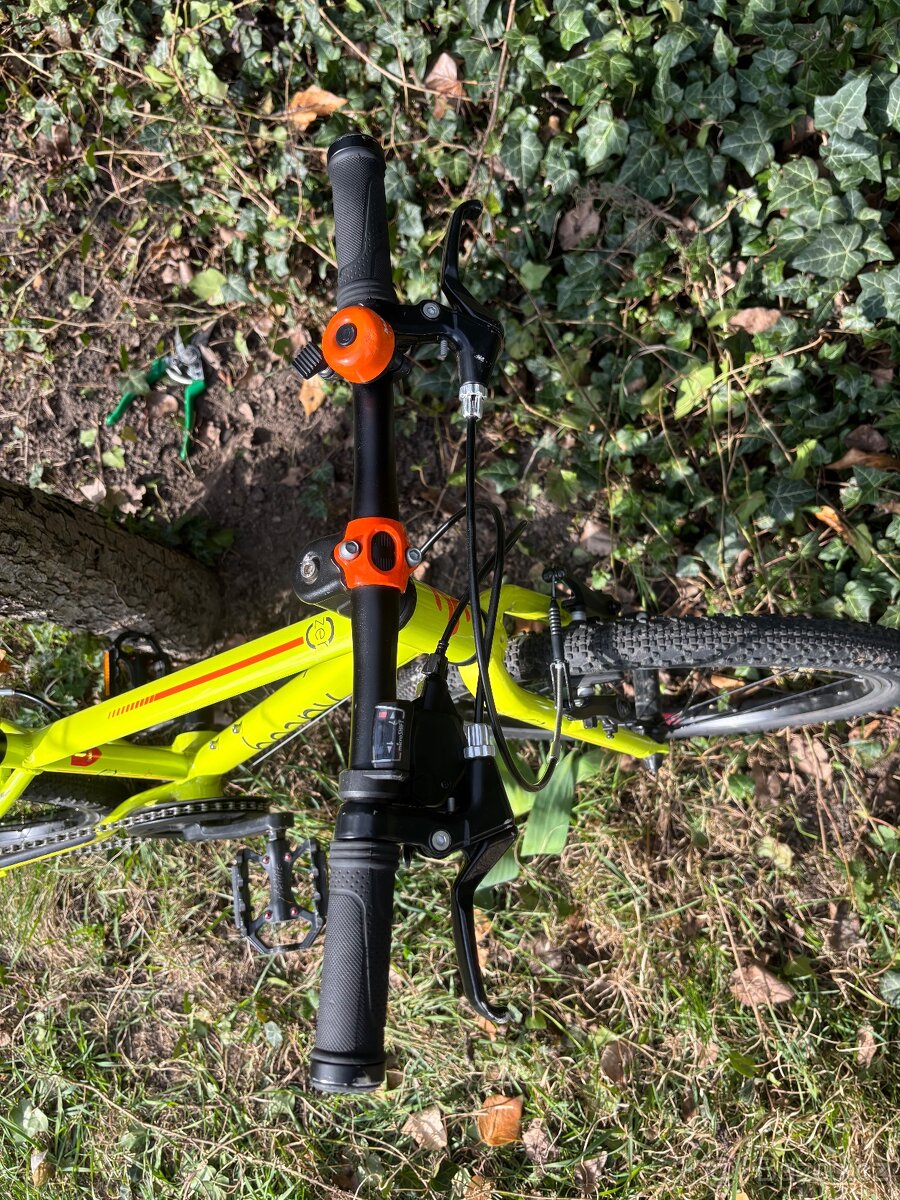 Beany Zero 20 – lehké dětské kolo - 7