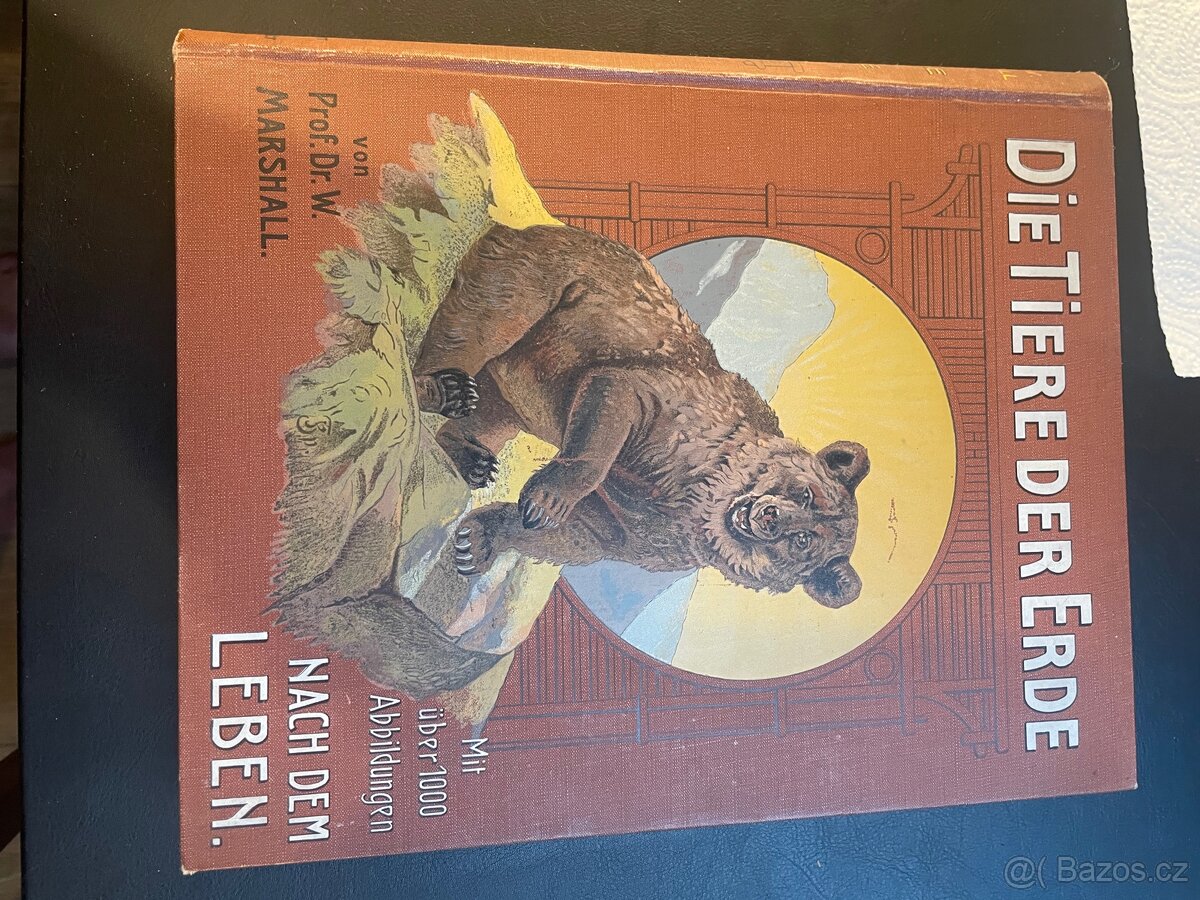 Die Tiere der Ende Prof.Dr. W Marshall - 7