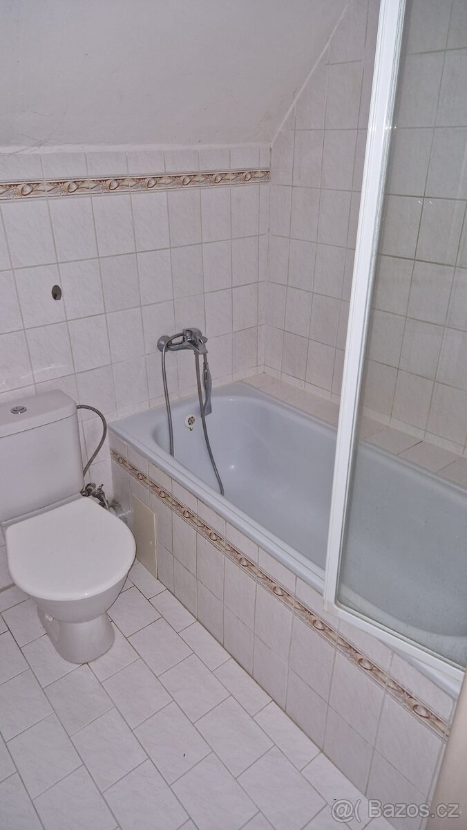 Pronájem domu 4+kk, Dolní Beřkovice, Mělník - 7