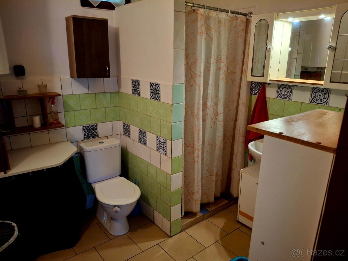 Pronájem domku - 7