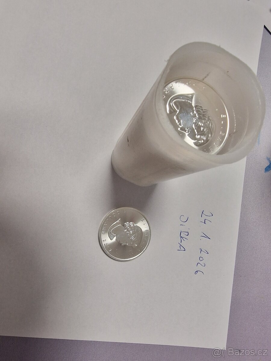 Prodám zlato a stříbro - 7