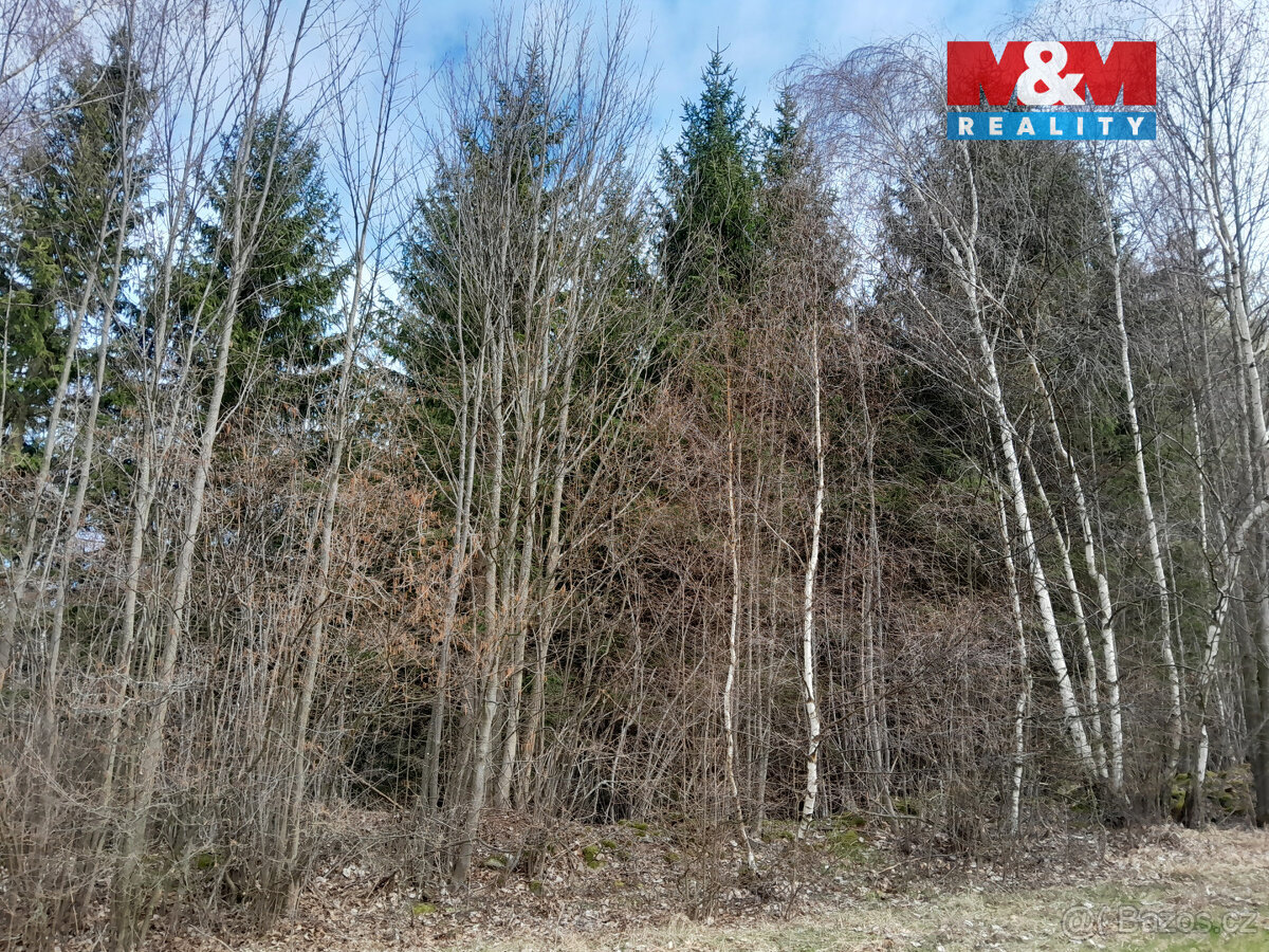 Prodej lesa, 5083 m², Zálezly - Setěchovice - 7