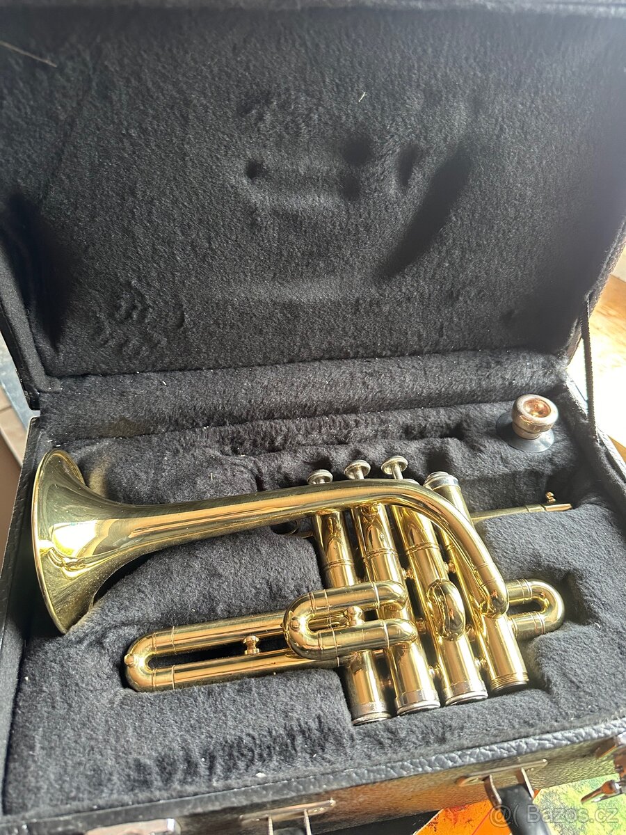 Prodám Trumpetu Stagg - 7