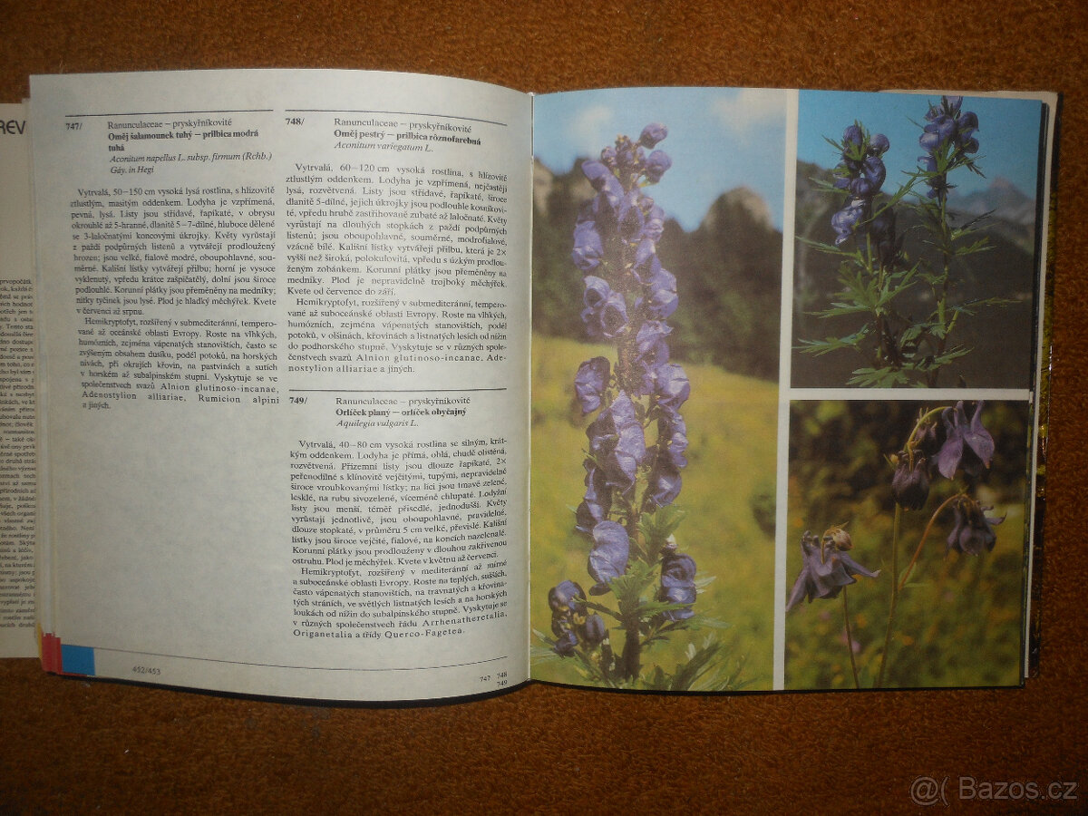 Barevný atlas rostlin - 7