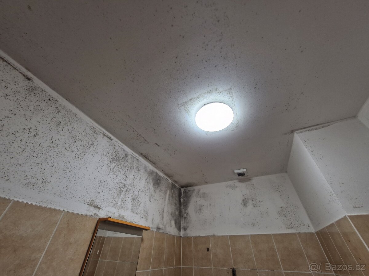 Nabízím malířské práce. Malování bytů. - 7