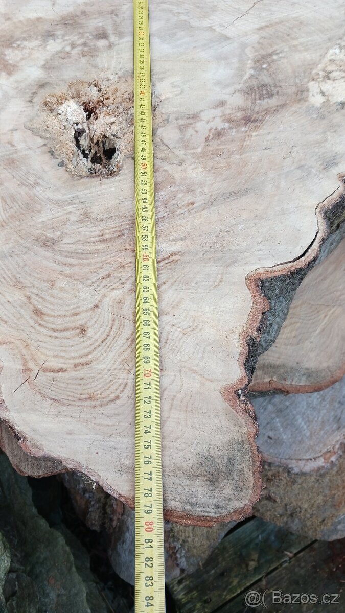 Koláče z tvrdého dřeva, Habr Buk - 7