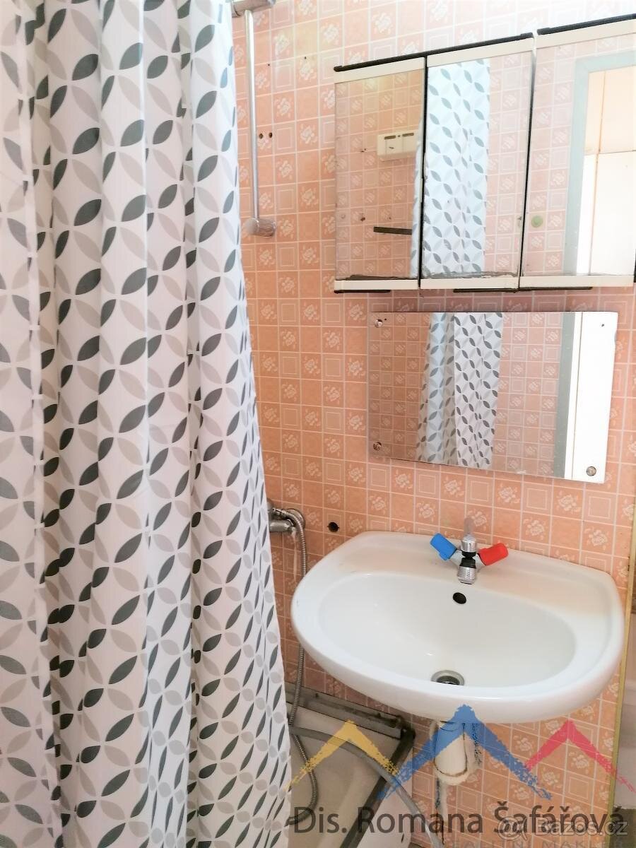 Pronájem bytu 1+1, Břidličná - 7