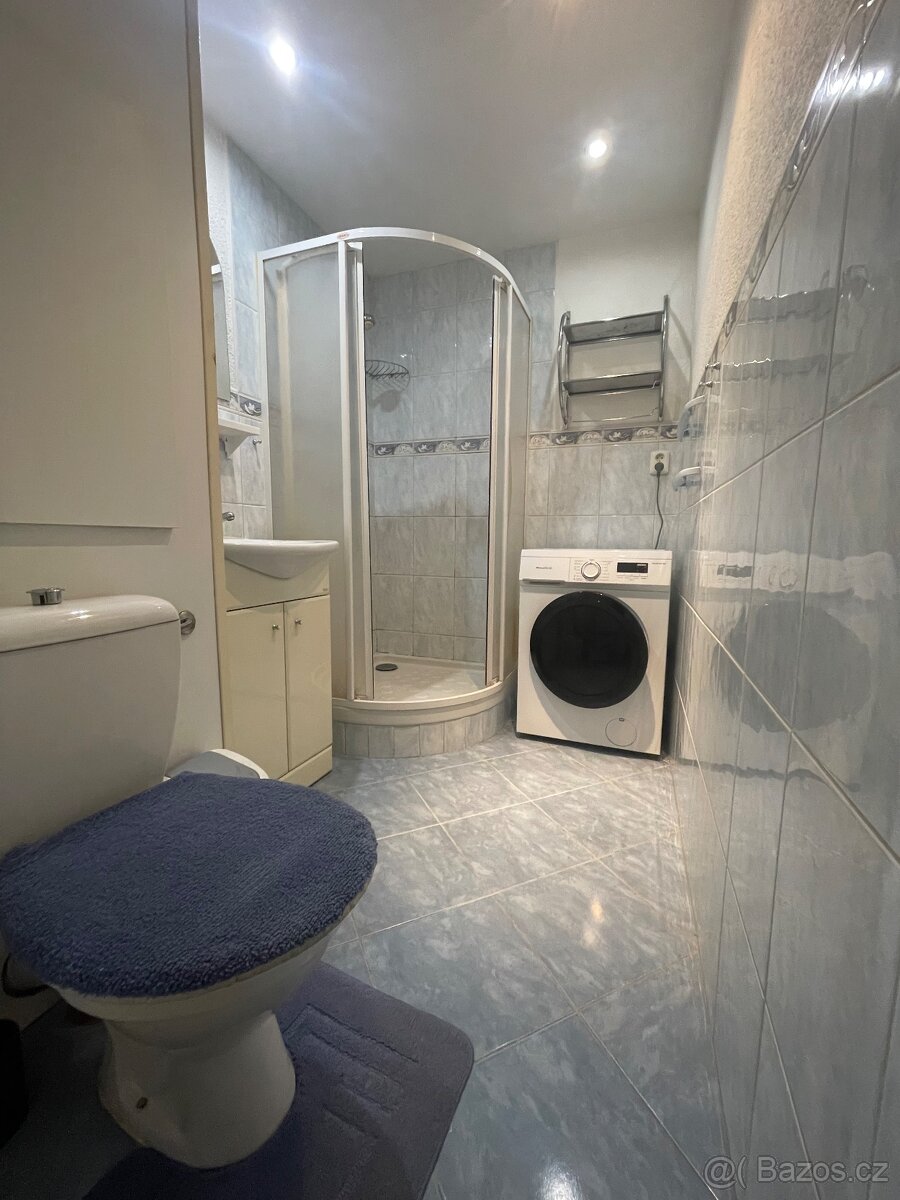 Prodej bytu 3+1, 65m2, U Koupaliště Chodov - 7