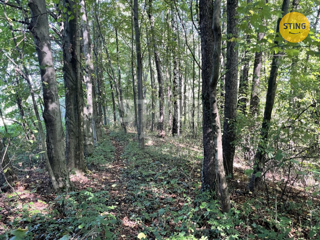 Prodej lesa, 9.789 m2, Hnojník, 133518 - 7