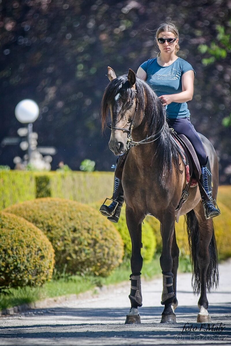 PŘIPOUŠTĚNÍ PSL - 7