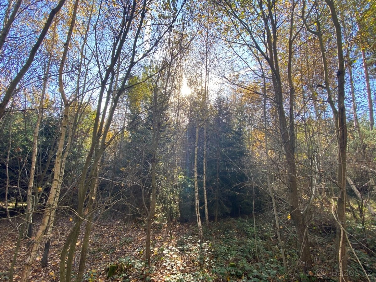 Pozemek 476m2 Klatovy - Dehtín - 7