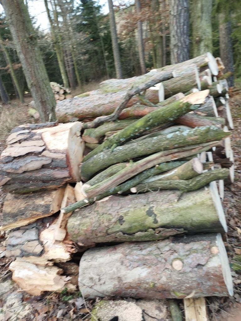 Palivové dřevo - 7