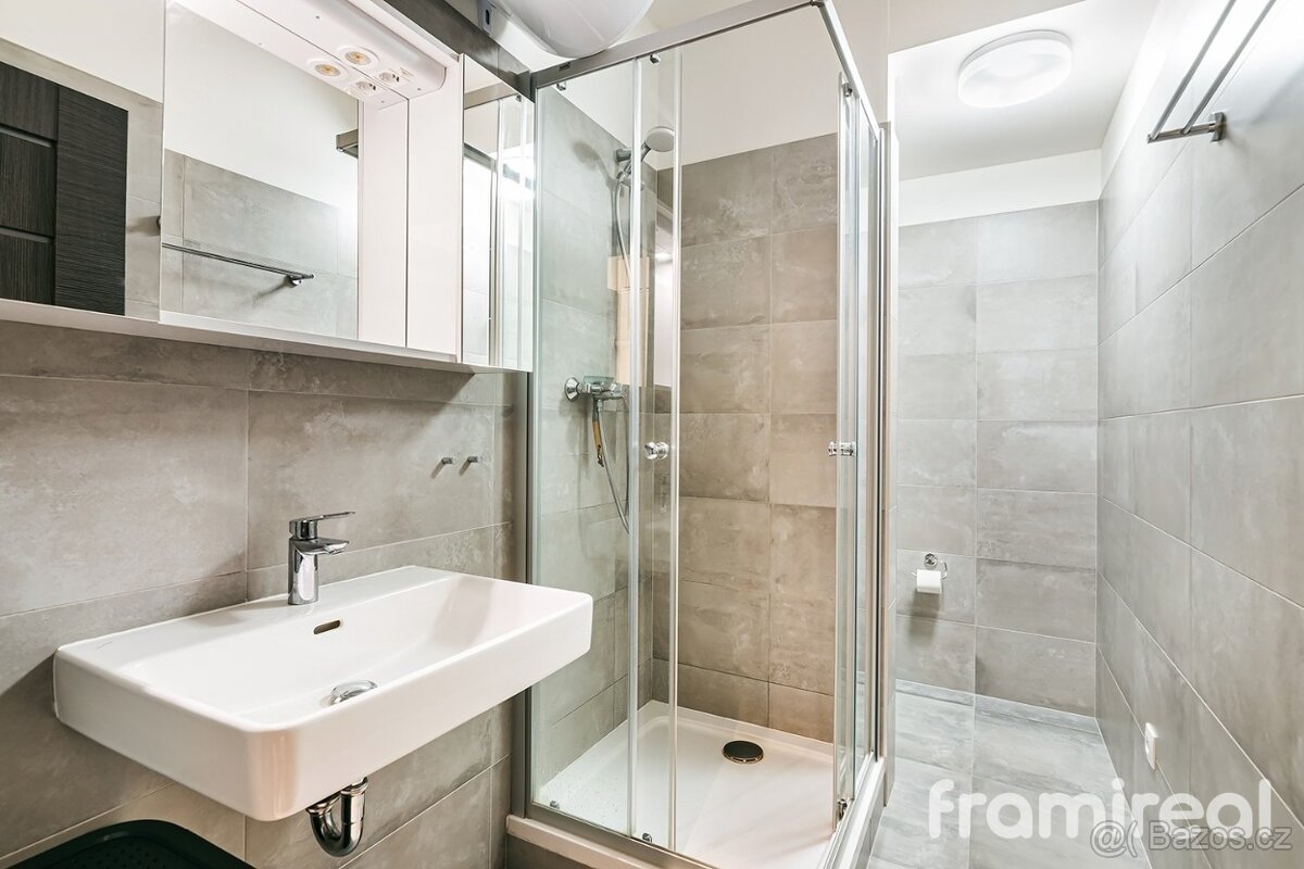 Pronájem bytu 1+kk - 7