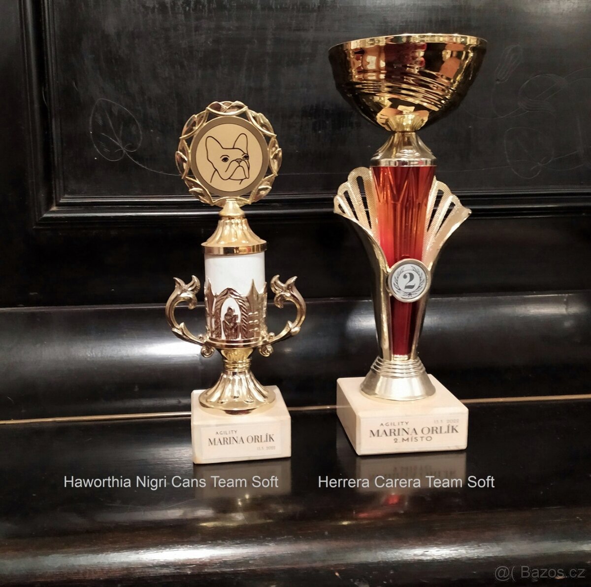 Francouzský buldoček s PP - 7