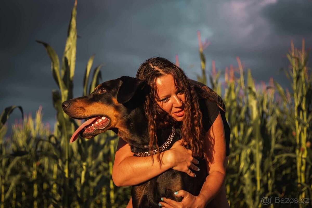 adopce Dobby - 8.12. 2021 narozený - 7