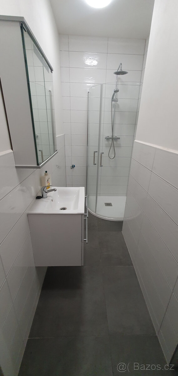 Pronájem 1+1, Krupka - Bohosudov - 7