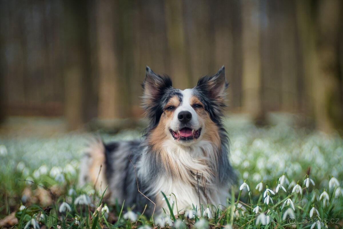 Objektiv Cyclop 100mm f2 M42 - 7