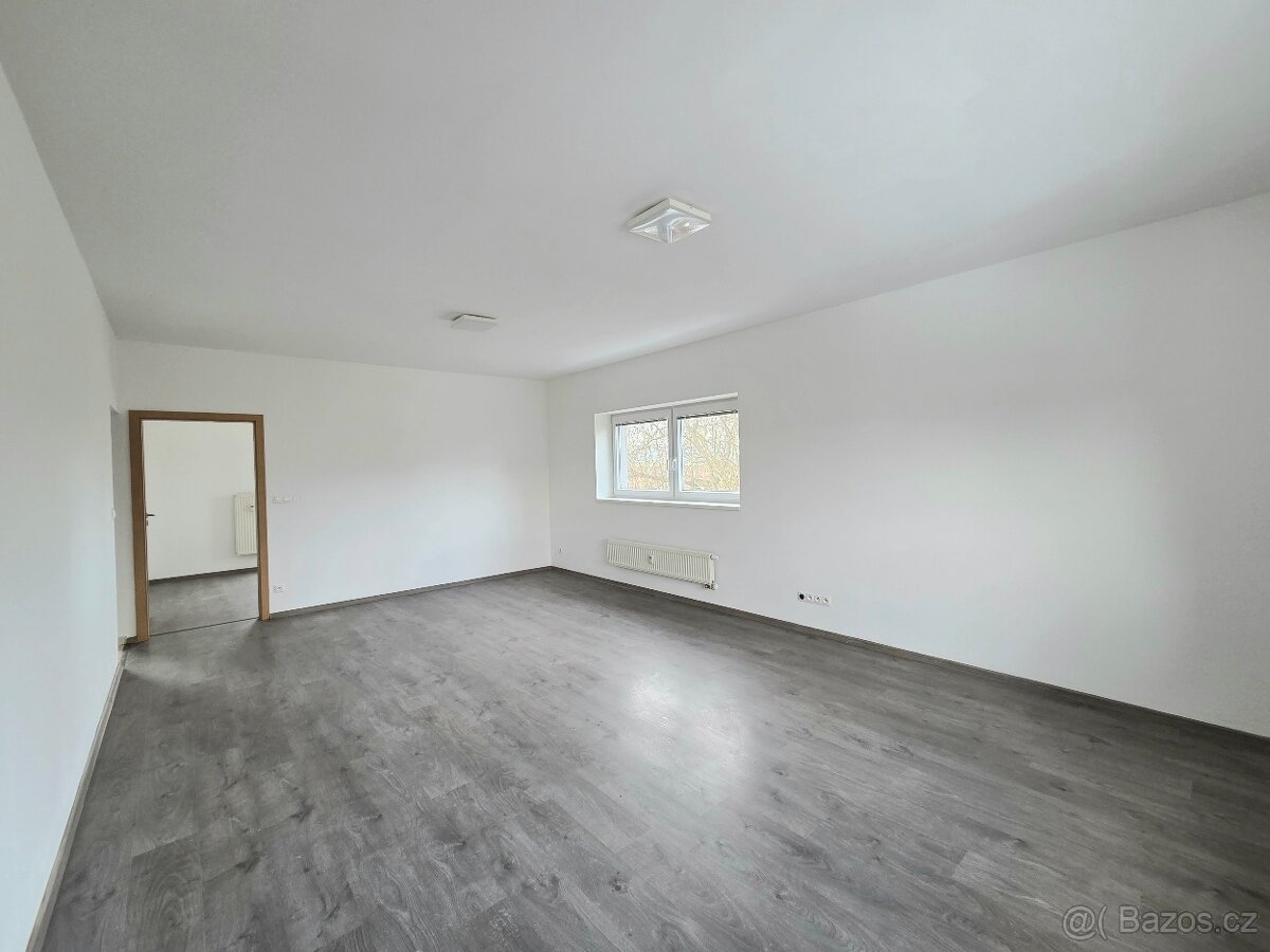 Pronájem bytu 2+1/L, Svémyslice - 7
