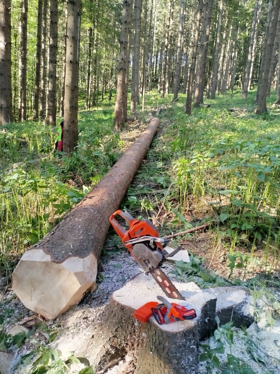 Lesnické práce - 7