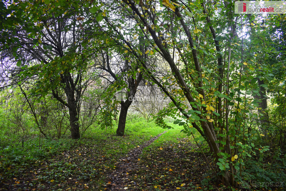 Stavební pozemek u rybnika, Beněšov, Bedrč – další