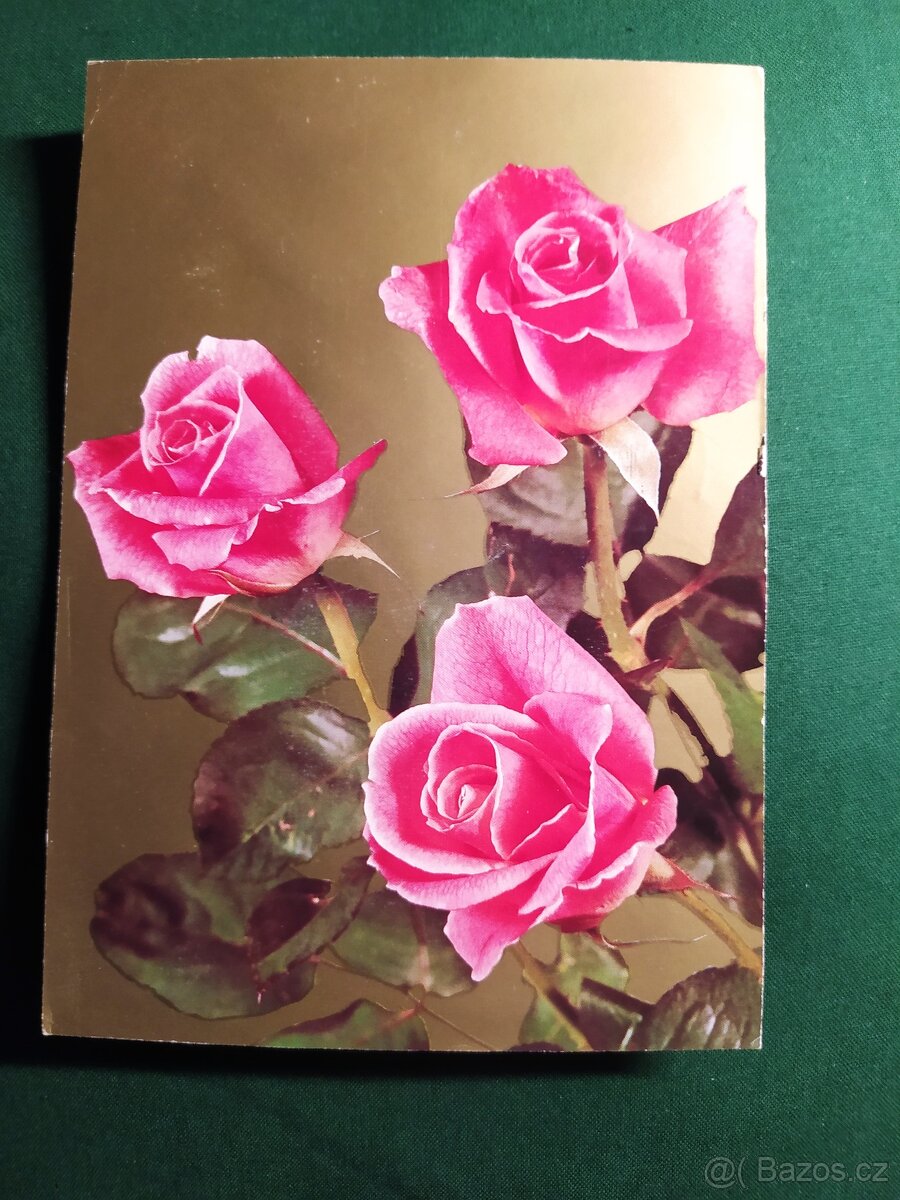 Pohlednice různé - 7