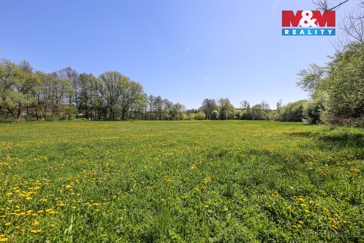 Prodej pozemku, 4590 m², Horní Bříza - 7