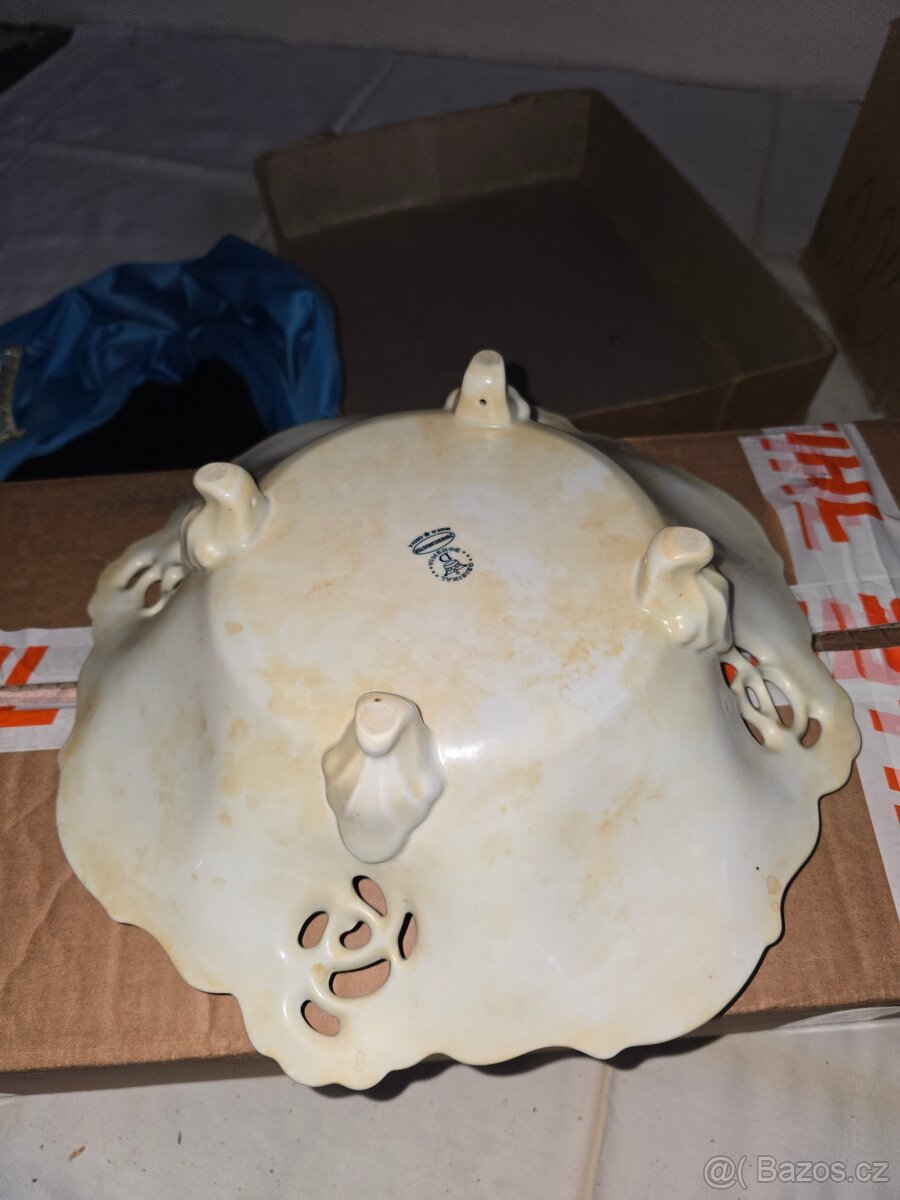 Prodam megasadu originalniho cibulaku - 7