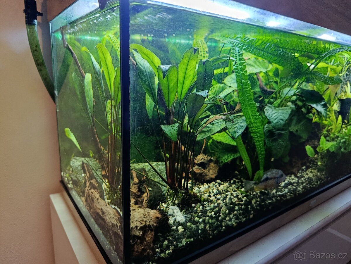 Prodám akvárium cca 200l - 7