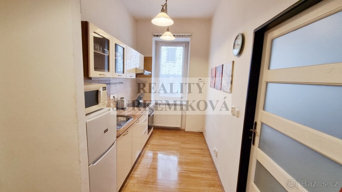 Útulný byt 1+1 po rekonstrukci v Riegrově ulici - 7