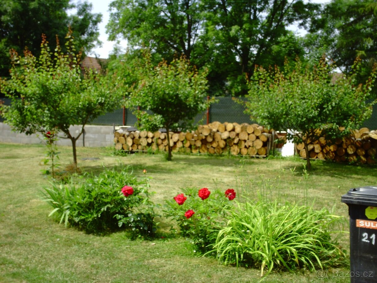 Prodej dvou domů za cenu jednoho - 7