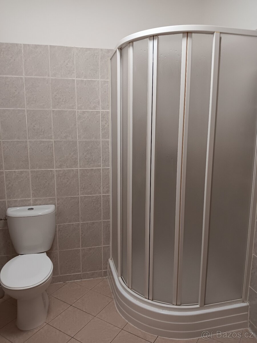 pronájem bytu 1+kk - 7