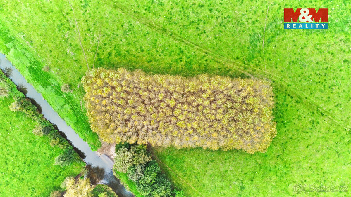 Prodej lesa, 1461 m², Skřivany - 7