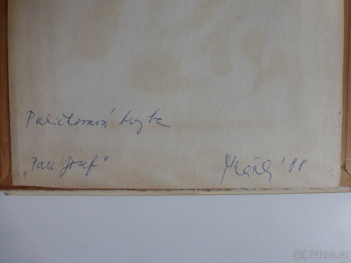 obrázky paličkovaná krajka - Mráčková - 7