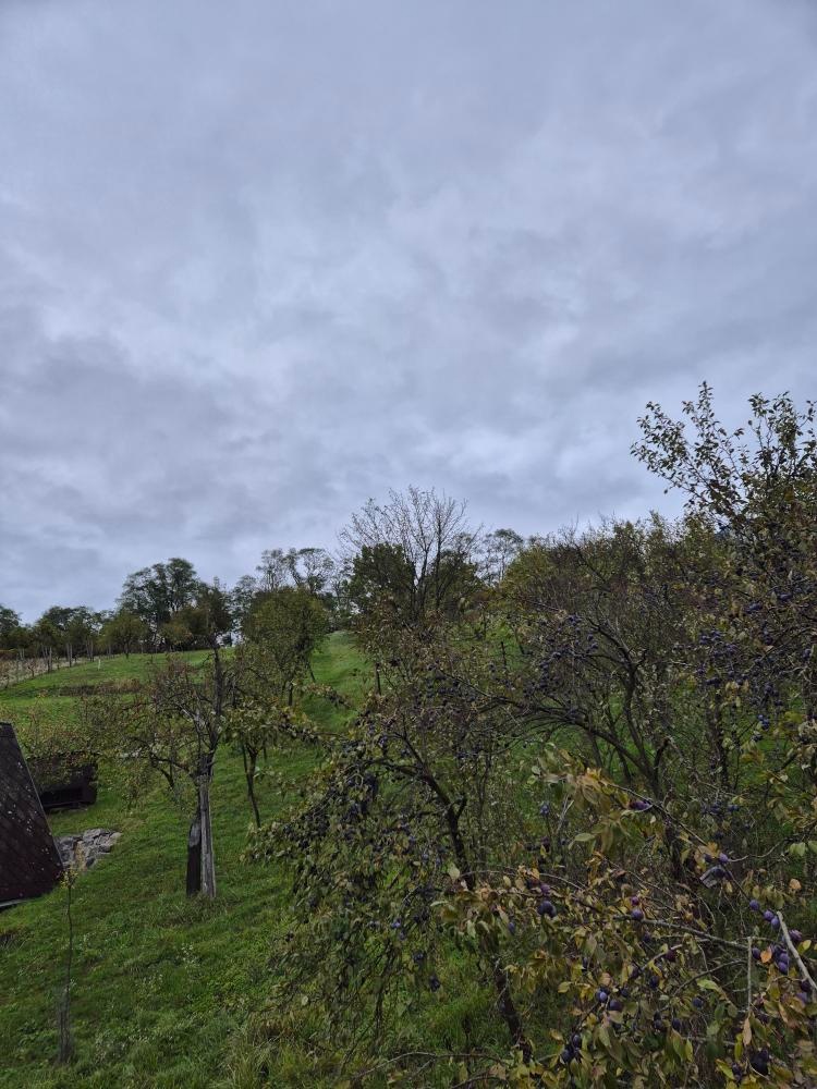 Zahrada ve lhotské Staré hoře - 7