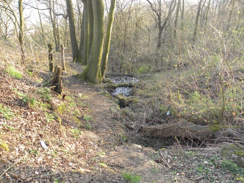 Zahrada v Doběticích - 7