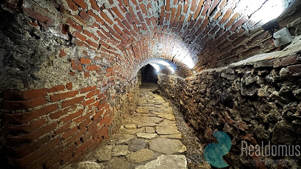 Pronájem, restaurace, bar, Prachatice - 7