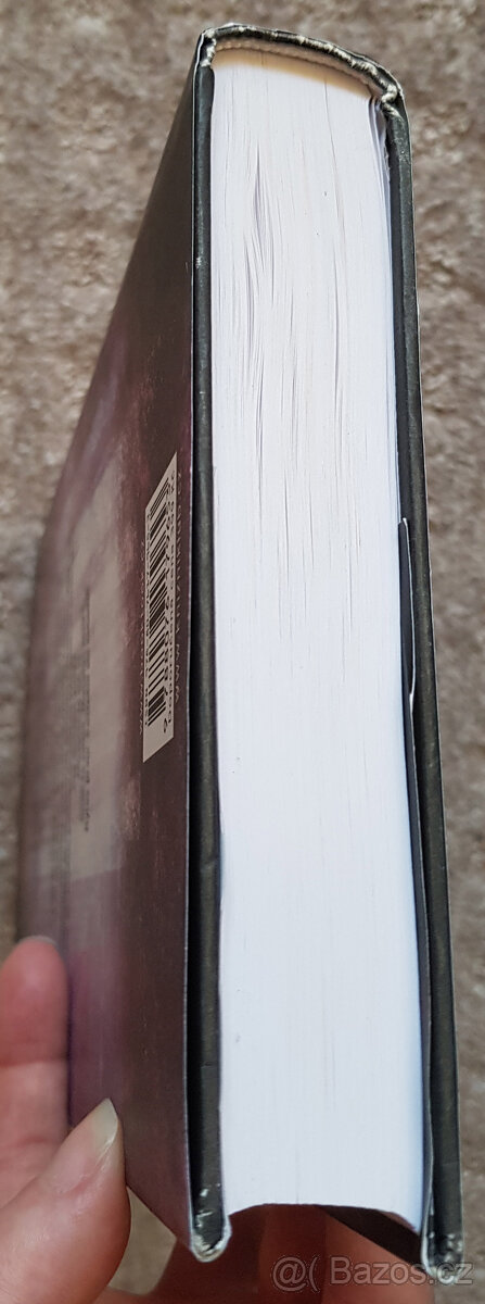 Číslo 20, Tajemství pomocnice, Skryté karty, Ukradené životy - 7