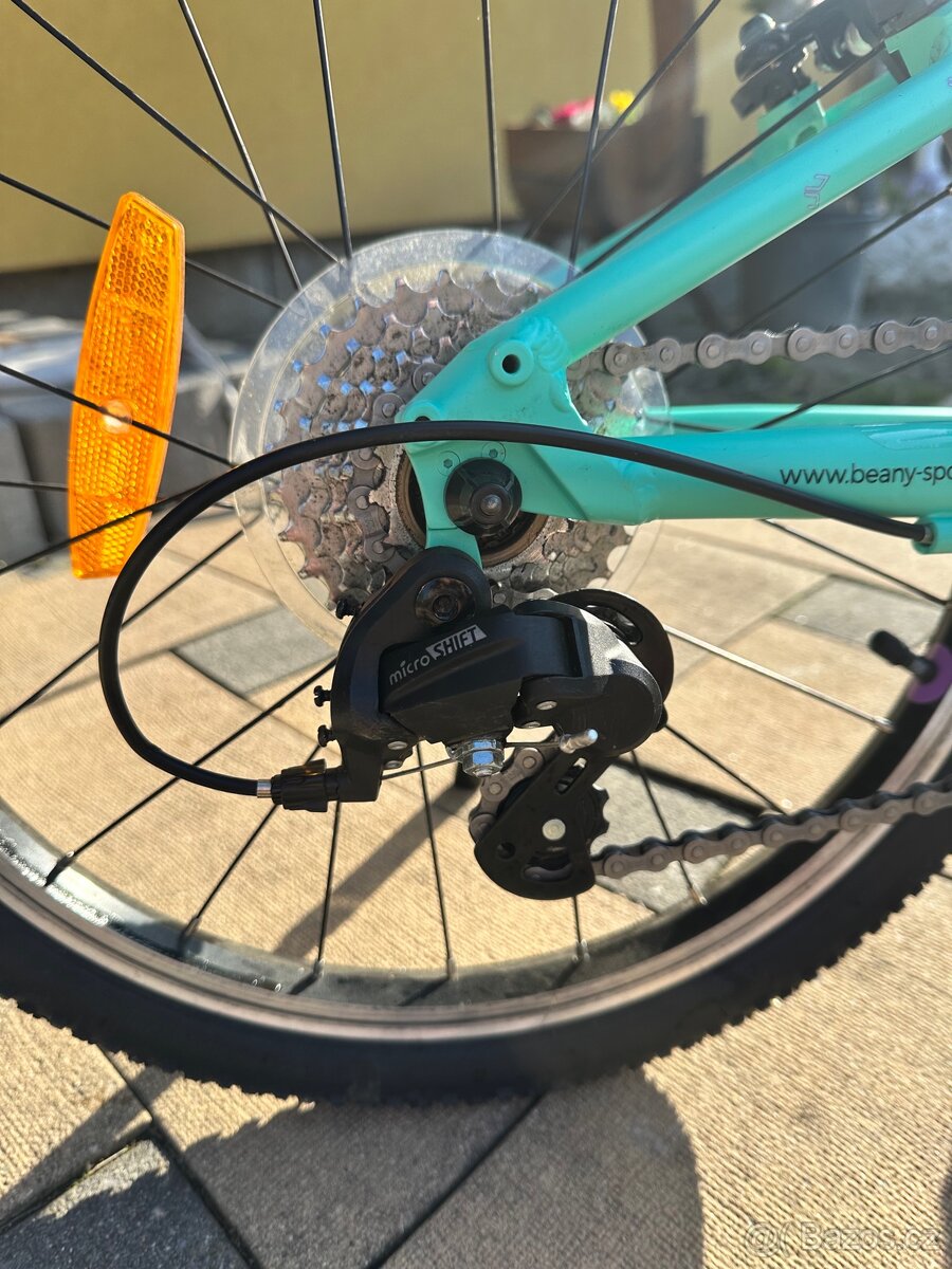 Lehké kolo Beany 20 Zero - 7